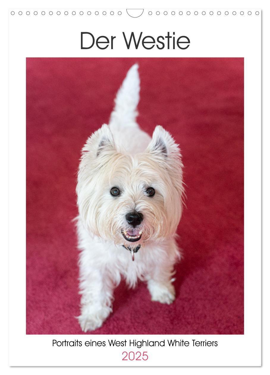 Cover: 9783383796739 | Der Westie - Portrait eines West Highland White Terriers...