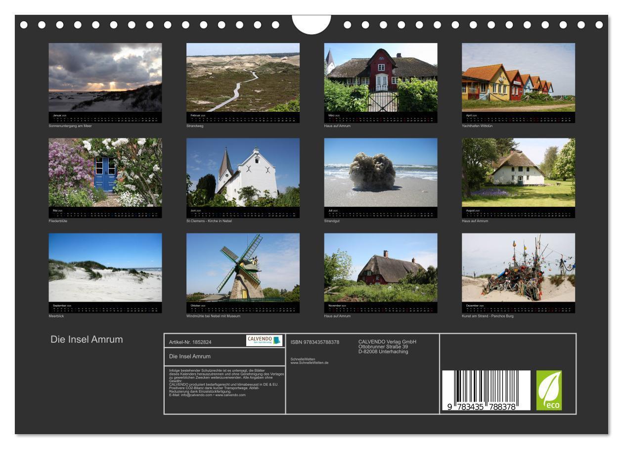 Bild: 9783435788378 | Die Insel Amrum (Wandkalender 2025 DIN A4 quer), CALVENDO...