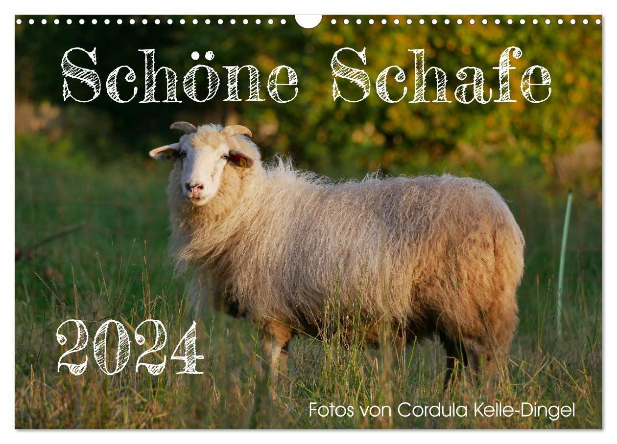 Cover: 9783383744280 | Schöne Schafe (Wandkalender 2024 DIN A3 quer), CALVENDO Monatskalender