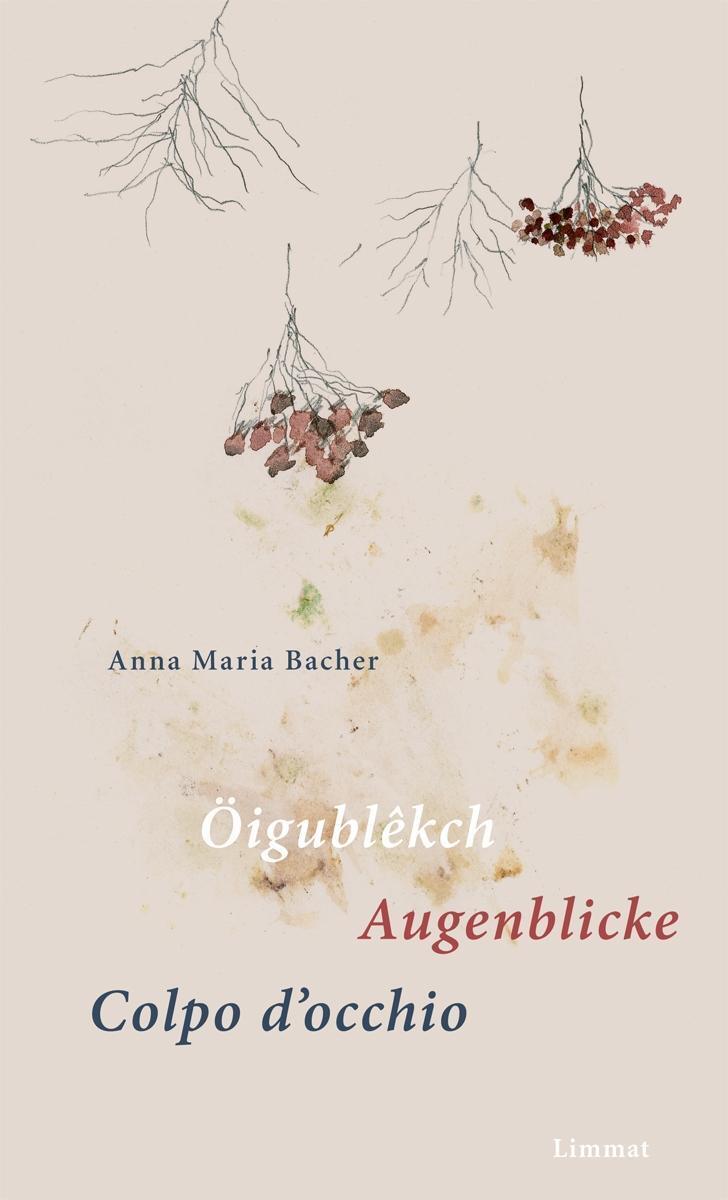 Cover: 9783857918285 | Öigublêkch/Augenblicke/Colpo d'occhio | Anna Maria Bacher | Buch