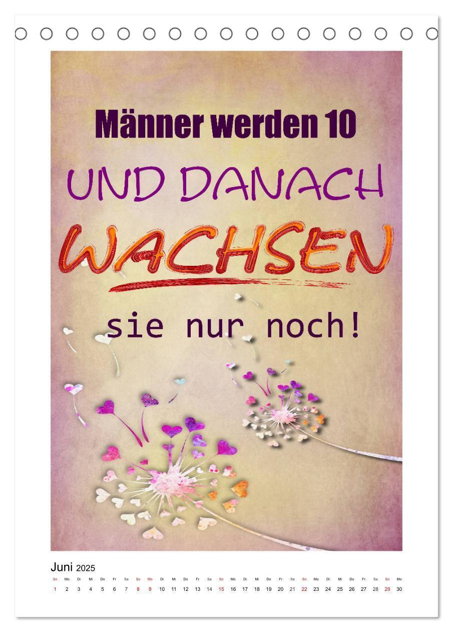 Bild: 9783435947317 | Humor und Ironie. Lustige Sprüche (Tischkalender 2025 DIN A5 hoch),...