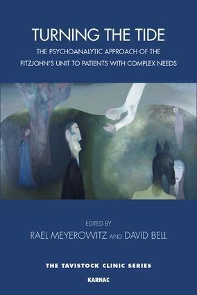 Cover: 9781782203322 | Turning the Tide | The Work of the Fitzjohn's Unit | Rael Meyerowitz