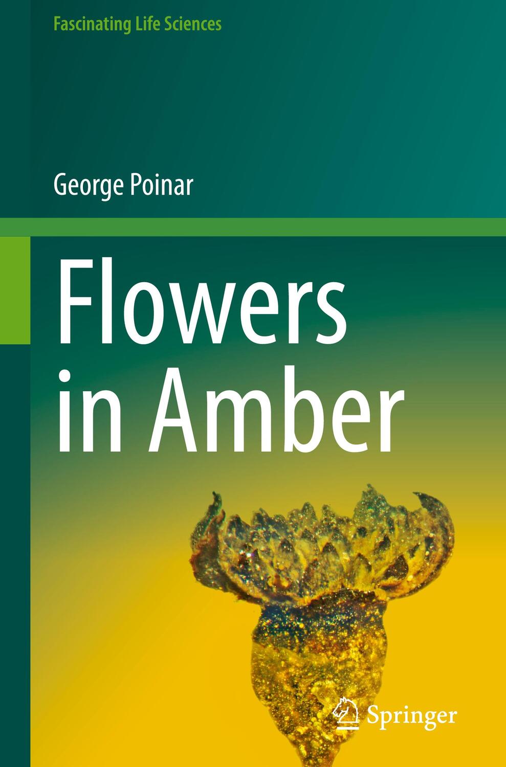 Cover: 9783031090431 | Flowers in Amber | George Poinar | Buch | Englisch | Springer