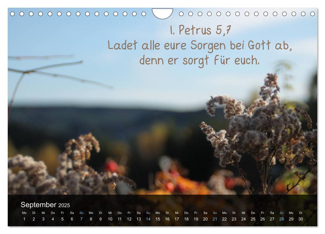 Bild: 9783435768240 | Schöpfung im Licht (Wandkalender 2025 DIN A4 quer), CALVENDO...