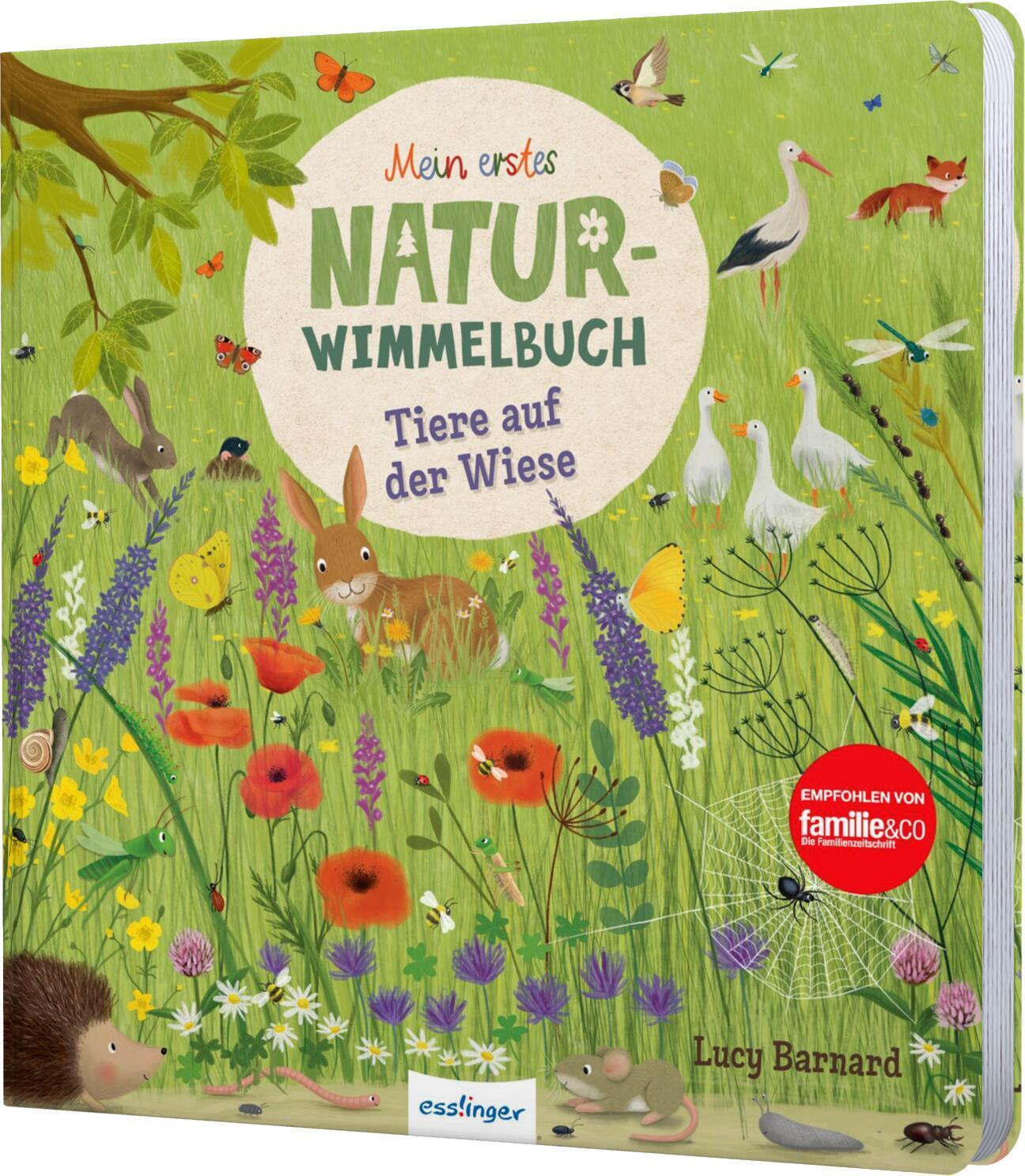 Cover: 9783480237333 | Mein erstes Natur-Wimmelbuch: Tiere auf der Wiese | Katharina Lotz