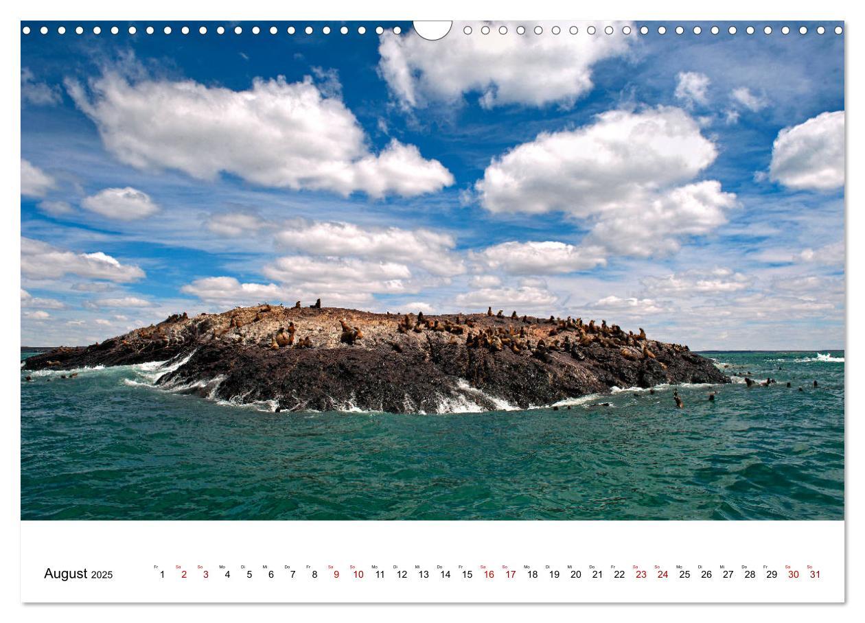 Bild: 9783435457991 | Faszinierendes Patagonien (Wandkalender 2025 DIN A3 quer), CALVENDO...