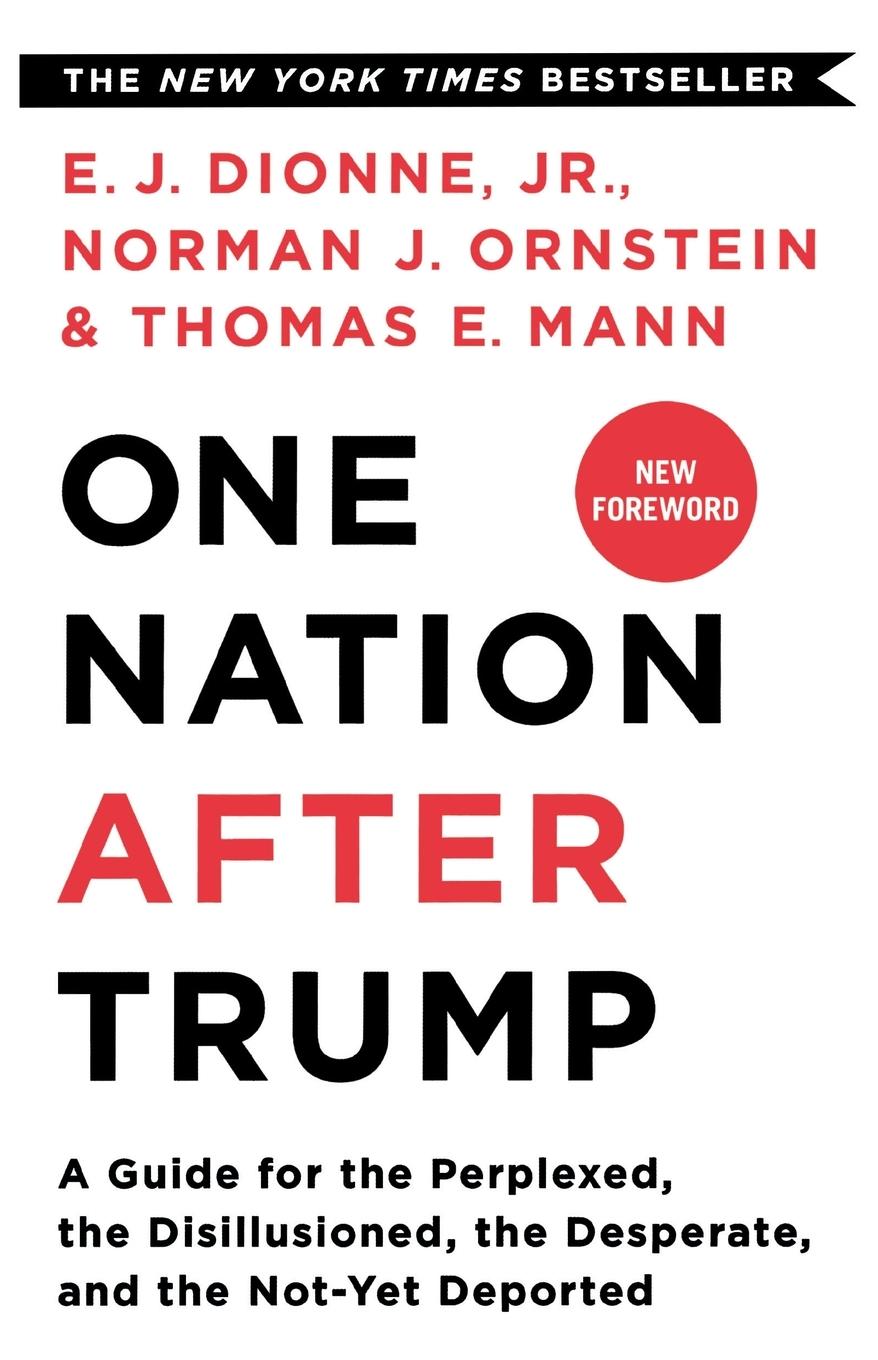 Cover: 9781250293633 | One Nation After Trump | E. J. Dionne | Taschenbuch | Englisch | 2018