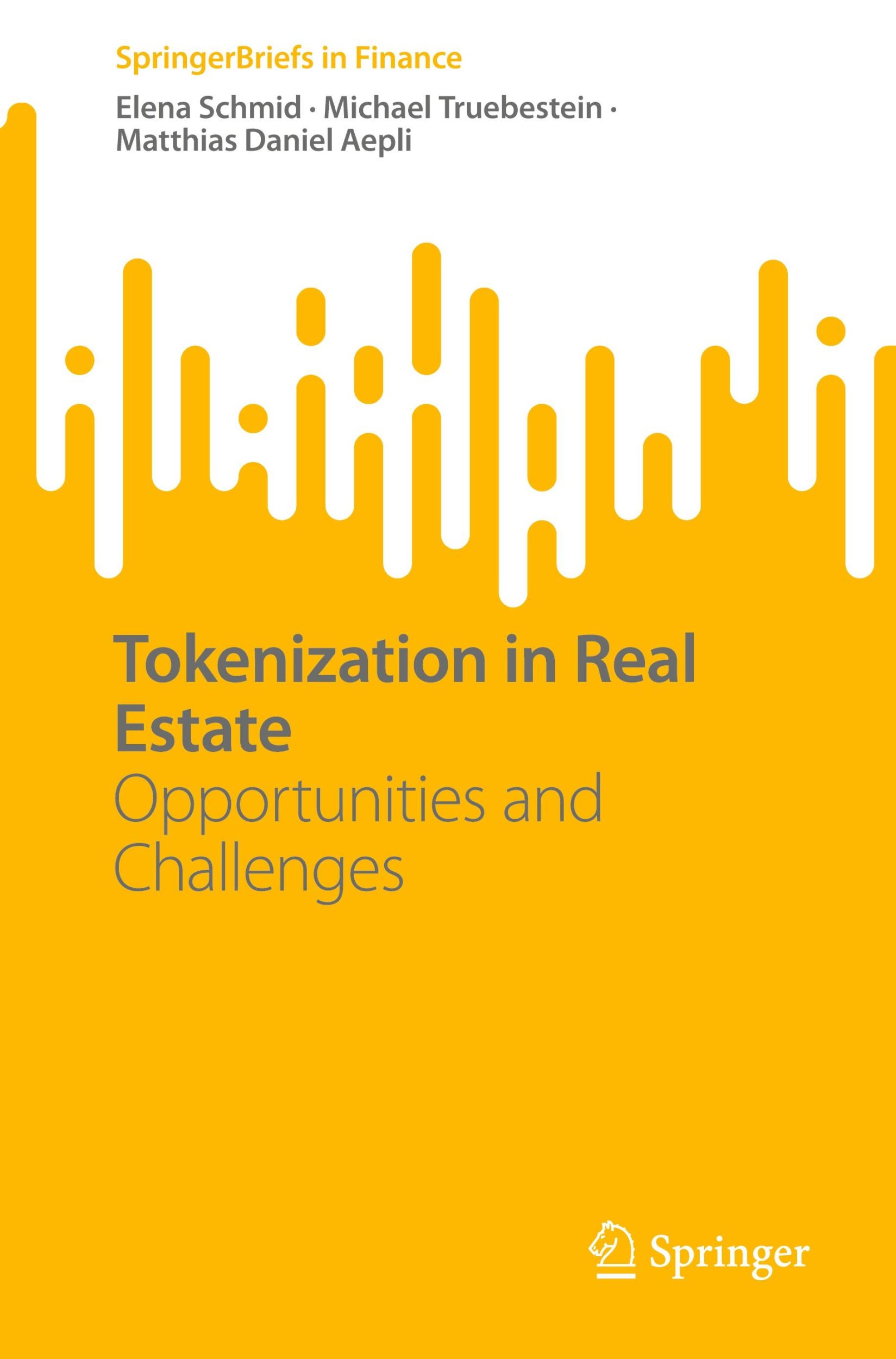 Cover: 9783031558092 | Tokenization in Real Estate | Opportunities and Challenges | Buch