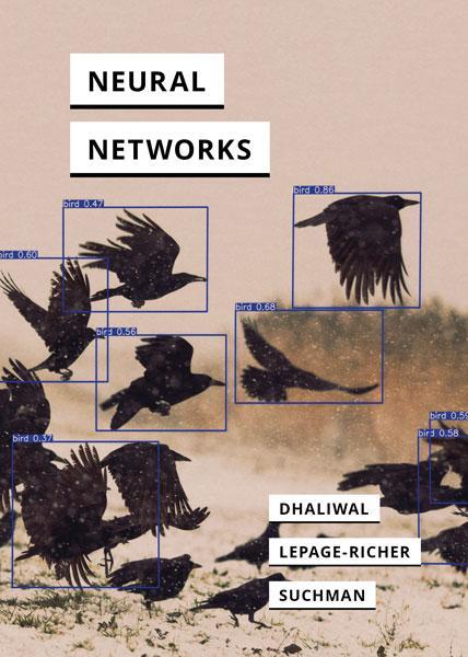 Cover: 9781517916695 | Neural Networks | Ranjodh Singh Dhaliwal (u. a.) | Taschenbuch | 2024