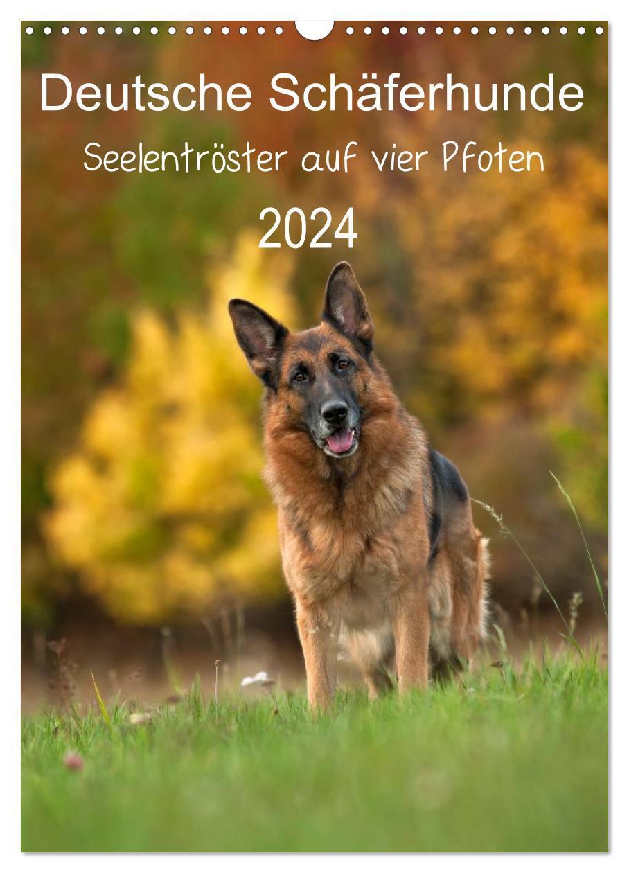 Cover: 9783383339660 | Deutsche Schäferhunde - Seelentröster auf vier Pfoten (Wandkalender...