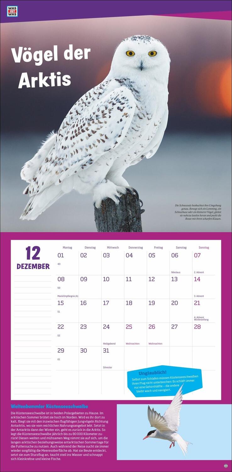 Bild: 9783756405541 | WAS IST WAS Tierwelt Broschurkalender 2025 | Kalender | 28 S. | 2025