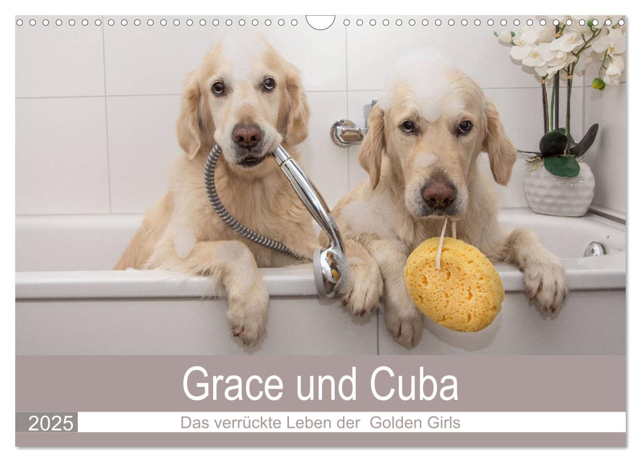 Cover: 9783435153480 | Grace und Cuba - Das verrückte Leben der Golden Girls (Wandkalender...