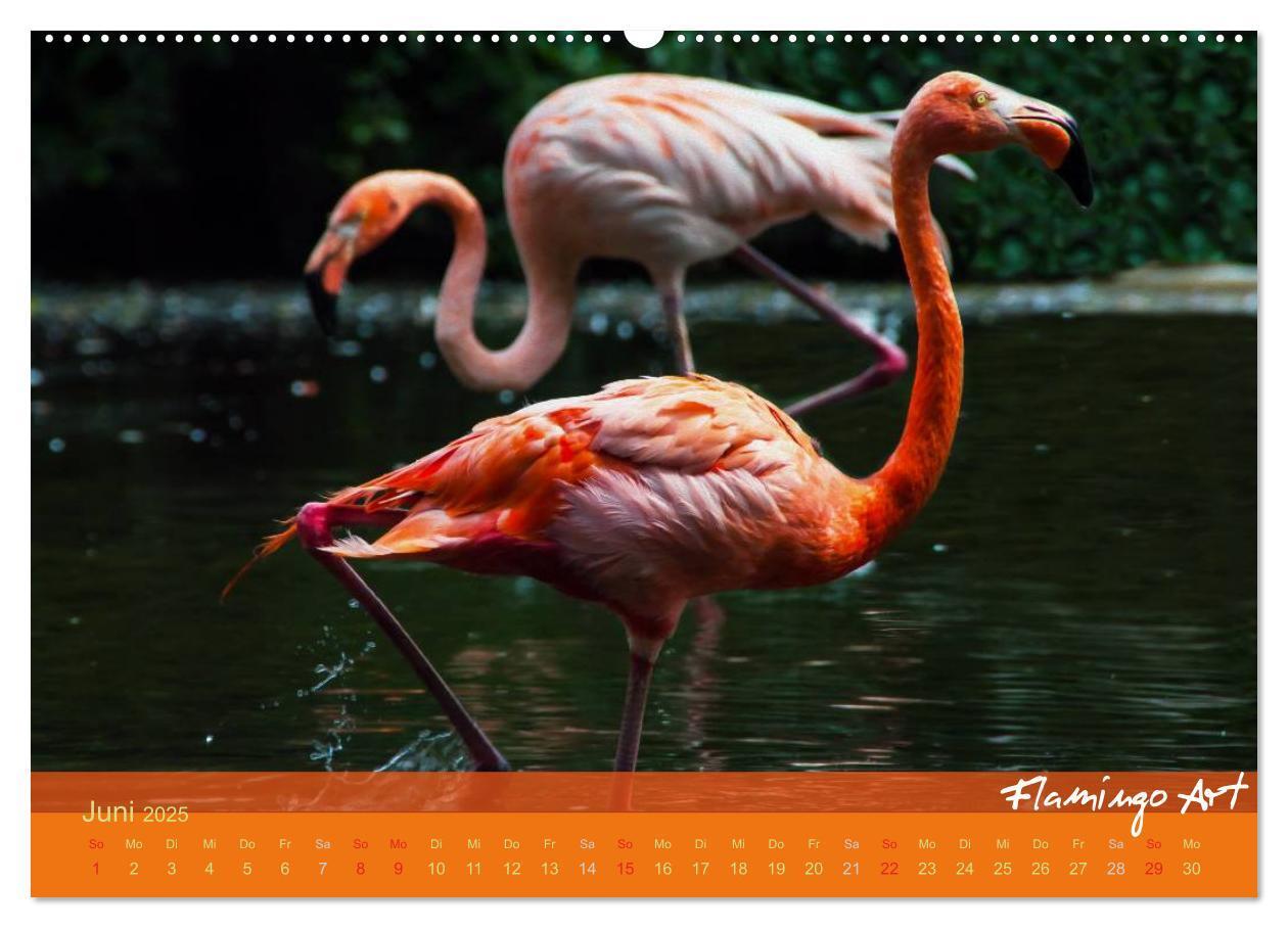 Bild: 9783435818822 | Flamingo Art 2025 (Wandkalender 2025 DIN A2 quer), CALVENDO...