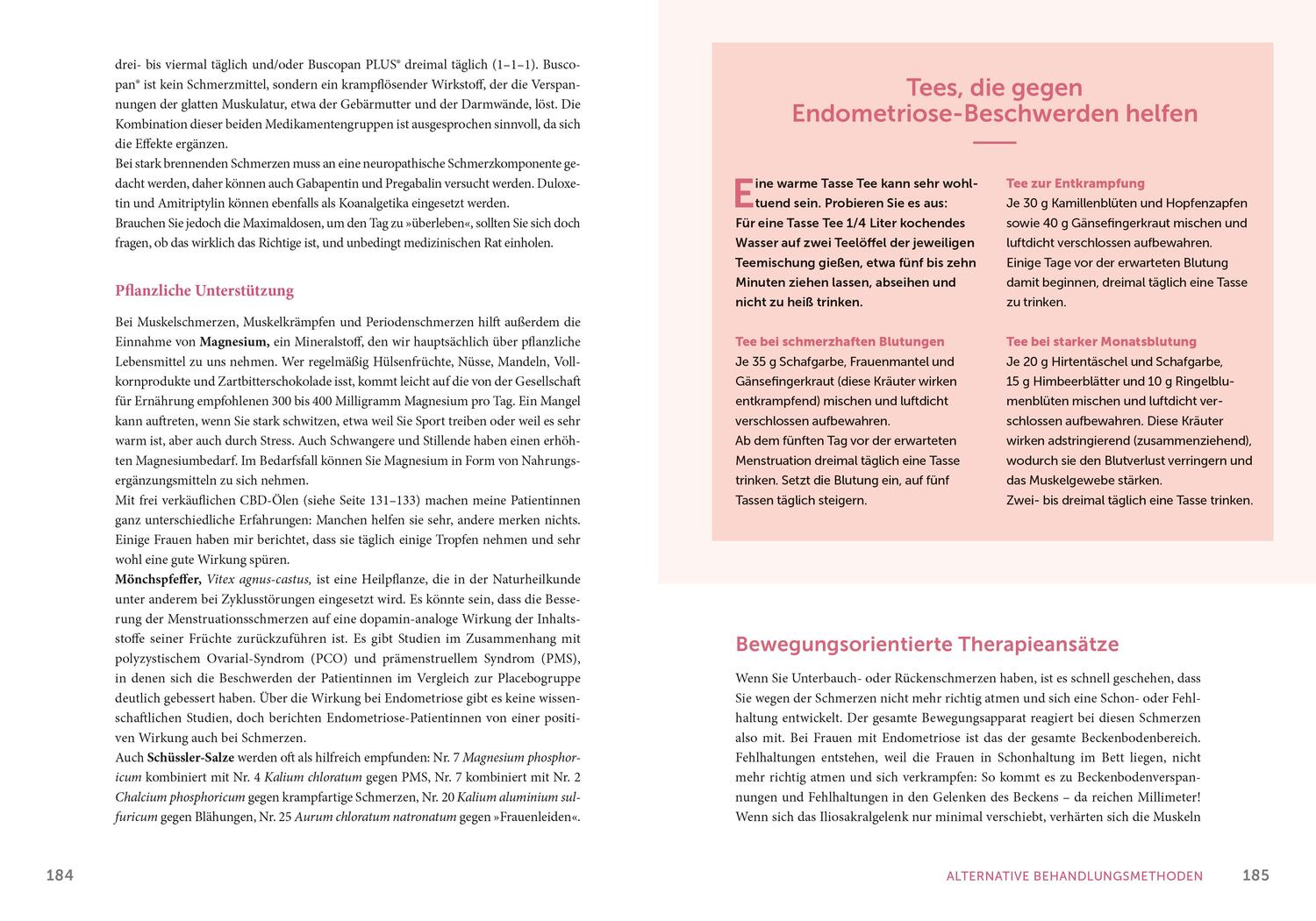 Bild: 9783965841611 | Endometriose - Die unterschätzte Krankheit | Sylvia Mechsner | Buch