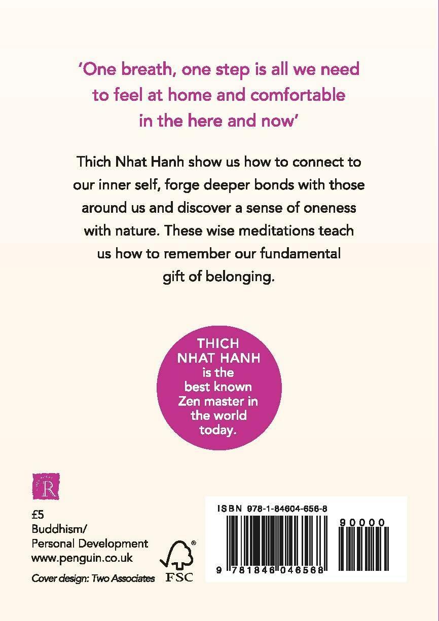 Rückseite: 9781846046568 | How to Connect | Thich Nhat Hanh | Taschenbuch | 126 S. | Englisch