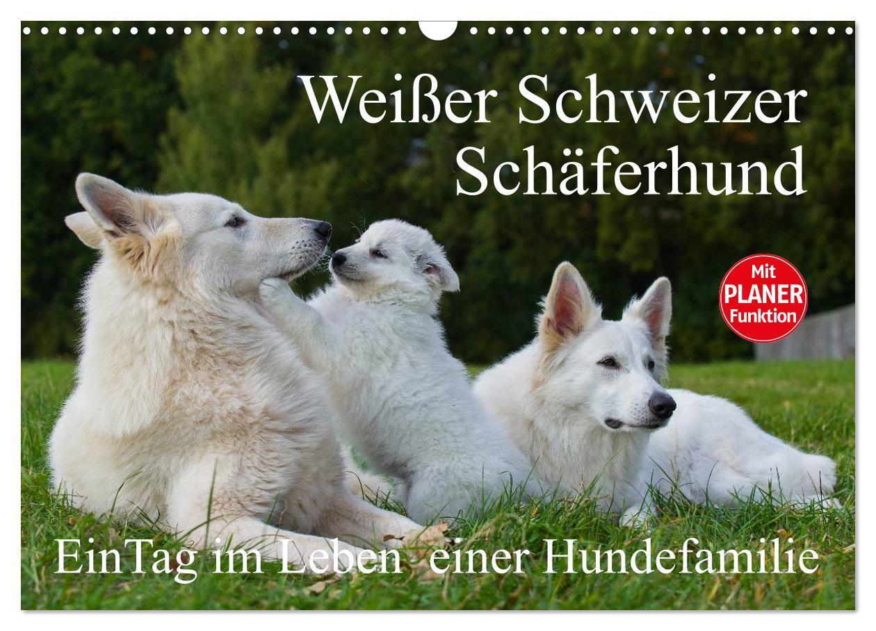 Cover: 9783383329074 | Weißer Schweizer Schäferhund - Ein Tag im Leben einer Hundefamilie...