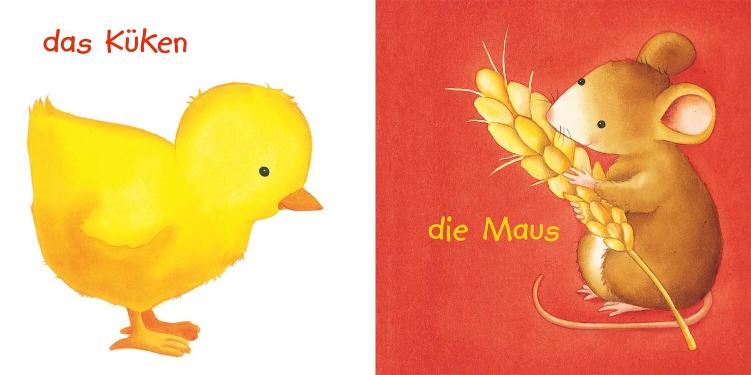 Bild: 9783551051462 | Mein Baby-Pixi-Buggybuch: Unsere Tiere | Denitza Gruber | Taschenbuch