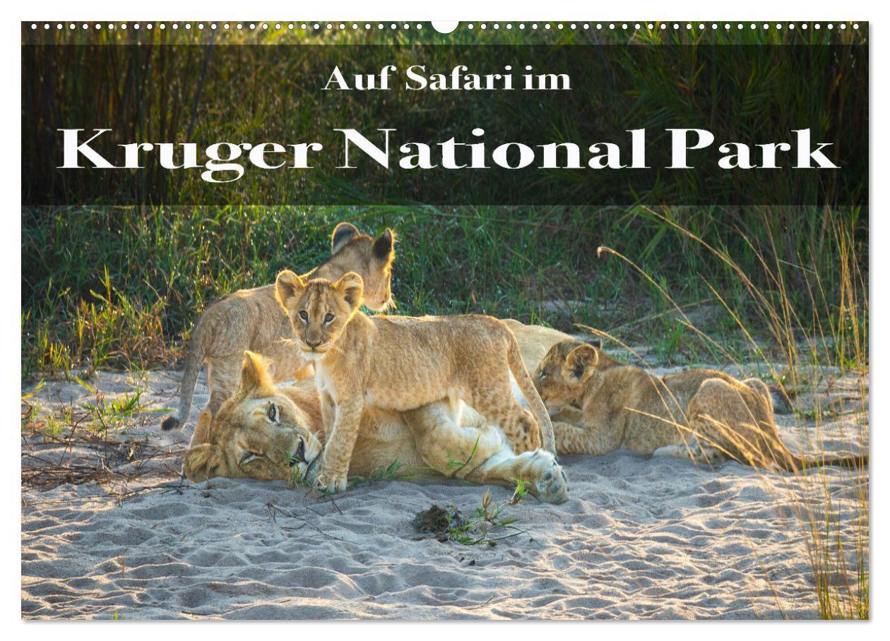 Cover: 9783675975545 | Auf Safari im Kruger National Park (Wandkalender 2024 DIN A2 quer),...