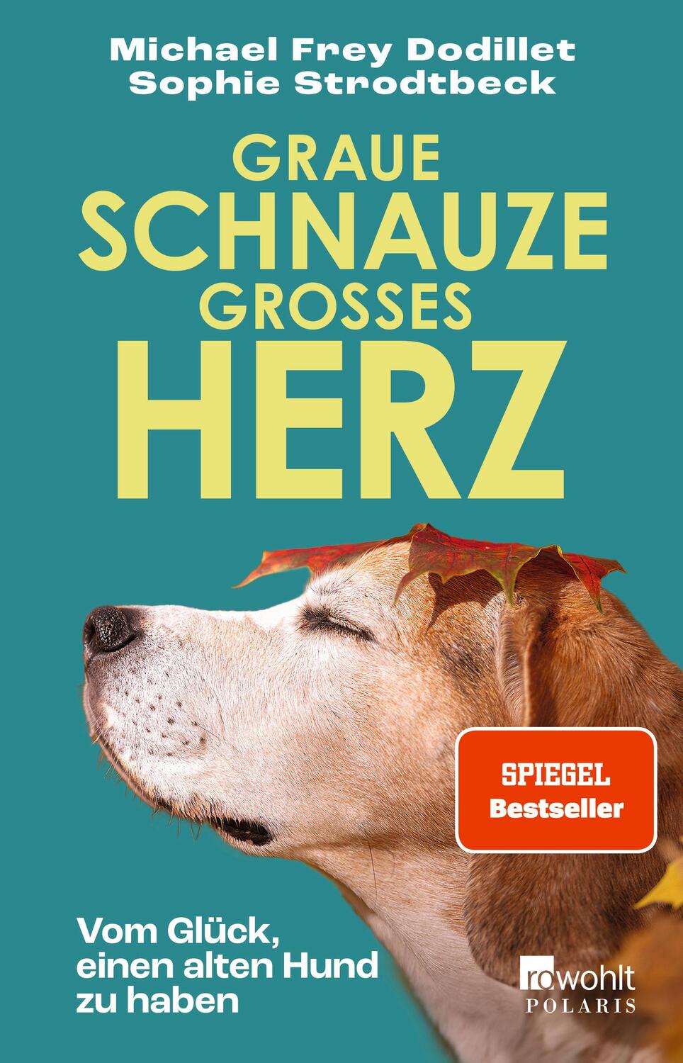 Cover: 9783499013515 | Graue Schnauze, großes Herz | Vom Glück, einen alten Hund zu haben