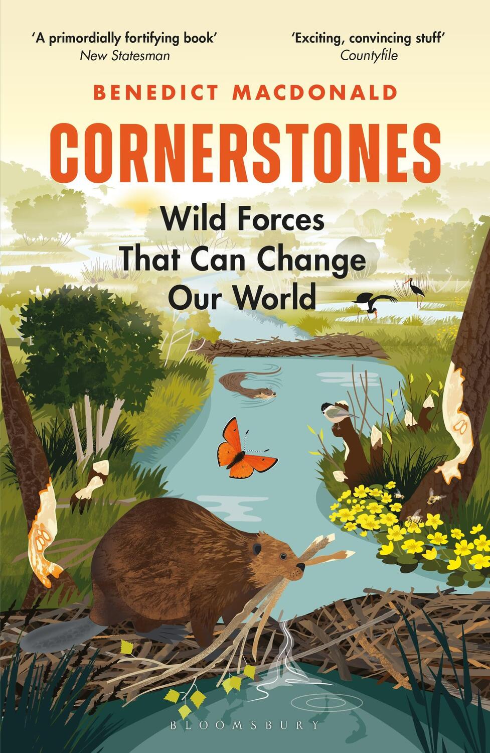 Cover: 9781472971593 | Cornerstones | Wild Forces That Can Change Our World | Macdonald