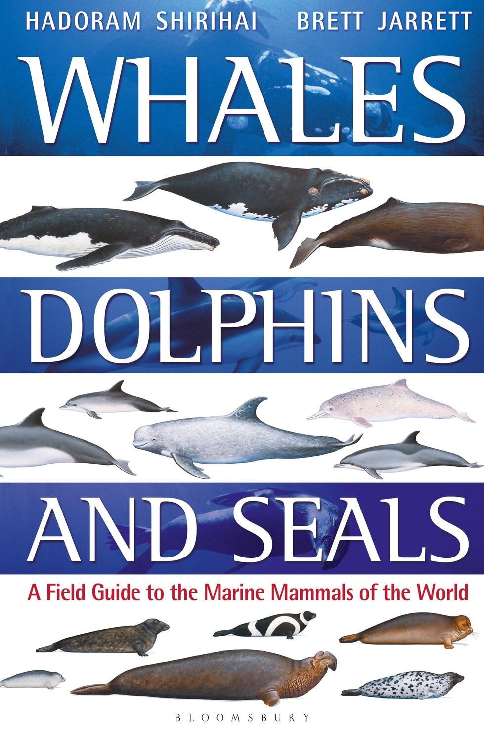 Cover: 9781472969668 | Whales, Dolphins and Seals | Brett Jarrett (u. a.) | Taschenbuch