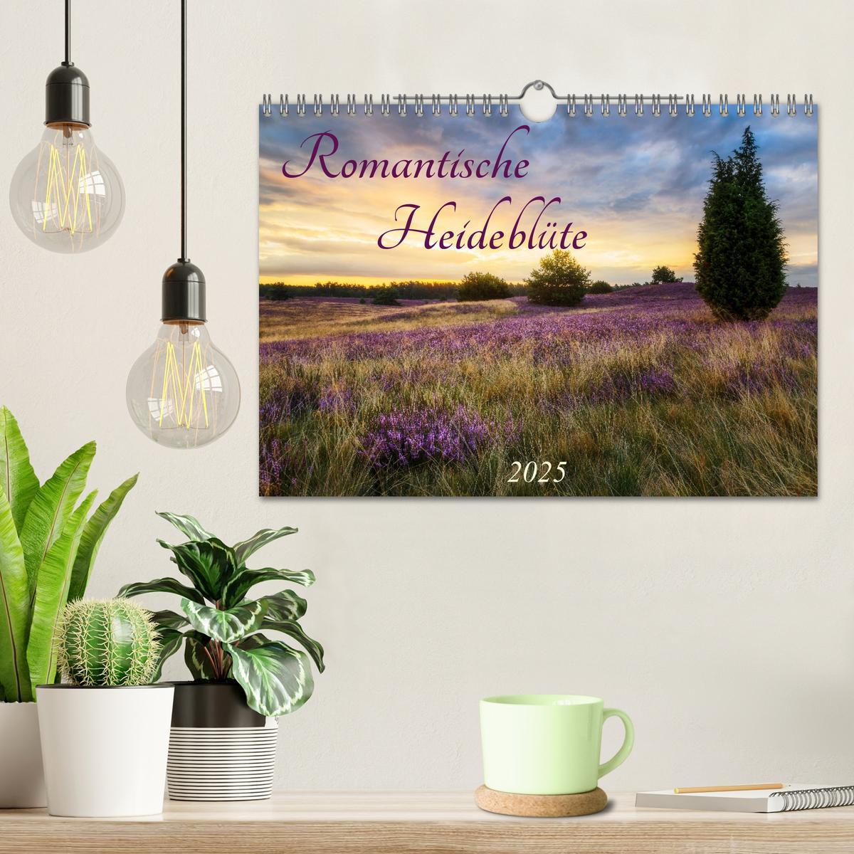 Bild: 9783383960413 | Romantische Heideblüte (Wandkalender 2025 DIN A4 quer), CALVENDO...