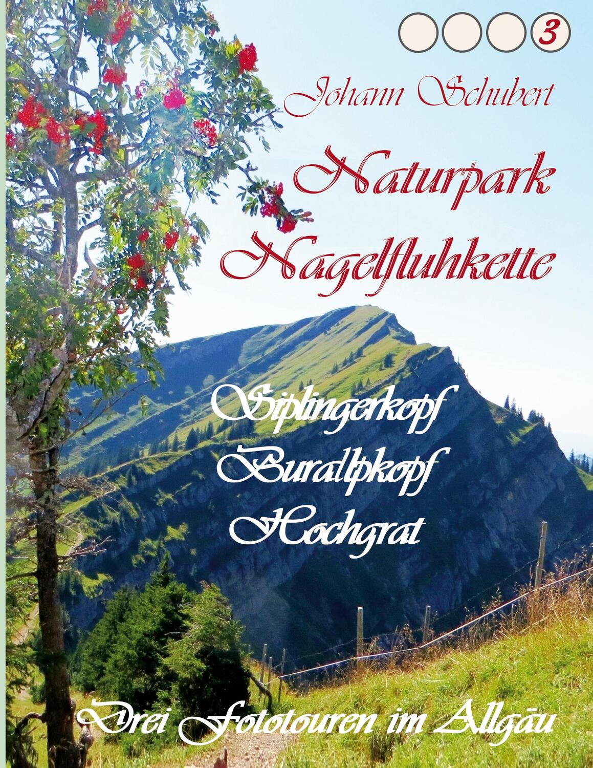 Cover: 9783752628753 | Naturpark Nagelfluhkette Siplingerkopf Buralpkopf Hochgrat | Schubert