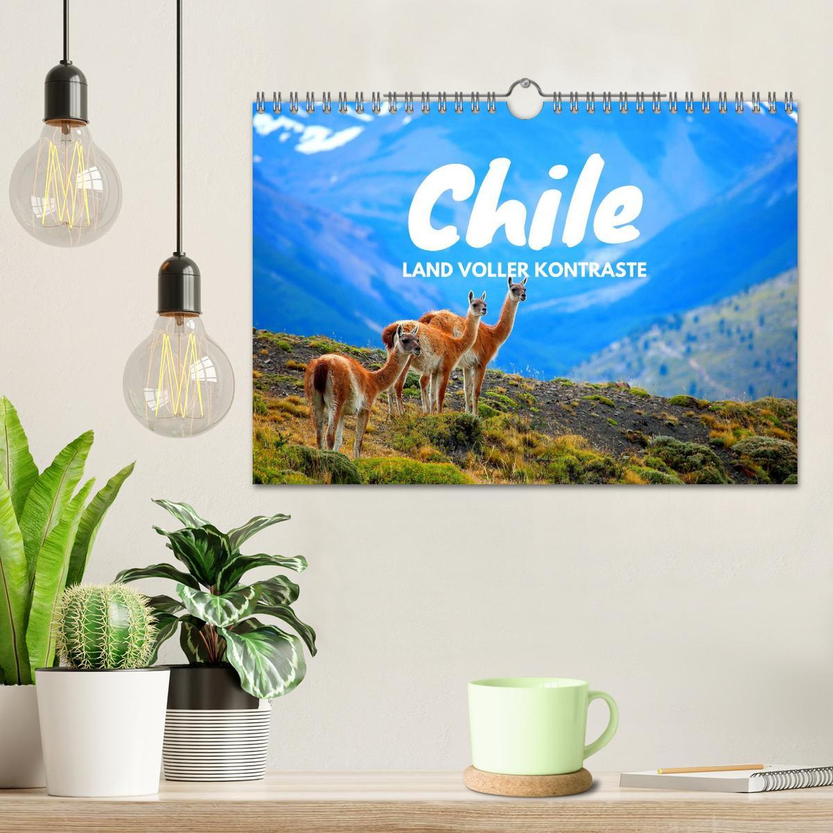 Bild: 9783435498154 | Chile - Land voller Kontraste (Wandkalender 2025 DIN A4 quer),...