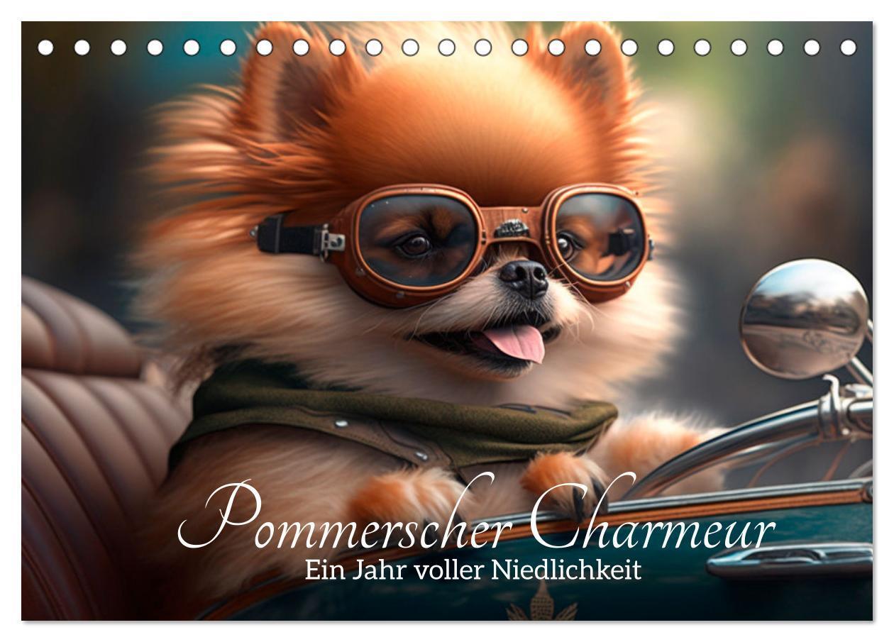 Cover: 9783675439191 | Pommerscher Charmeur Ein Jahr voller Niedlichkeit (Tischkalender...