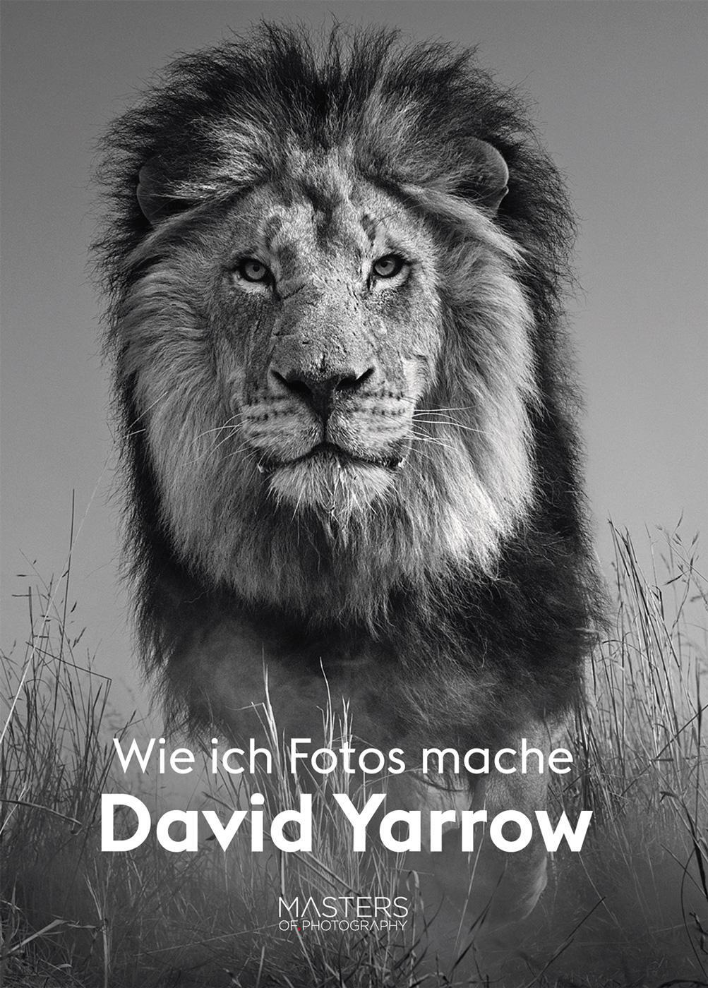 Cover: 9783038762140 | Wie ich Fotos mache | Masters of Photography | David Yarrow | Buch