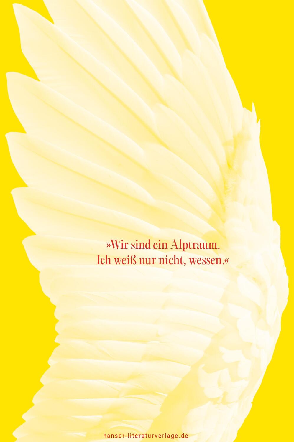 Bild: 9783446281424 | Als wir Schwäne waren | Roman | Behzad Karim Khani | Buch | 192 S.