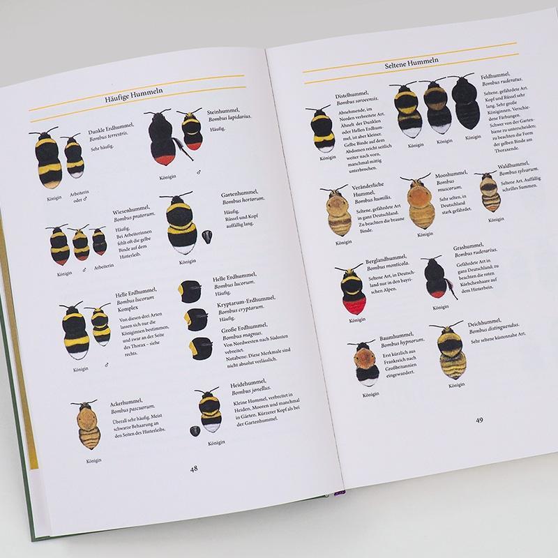 Bild: 9783446269293 | Bienenweide und Hummelparadies | Dave Goulson | Buch | Deutsch | 2021