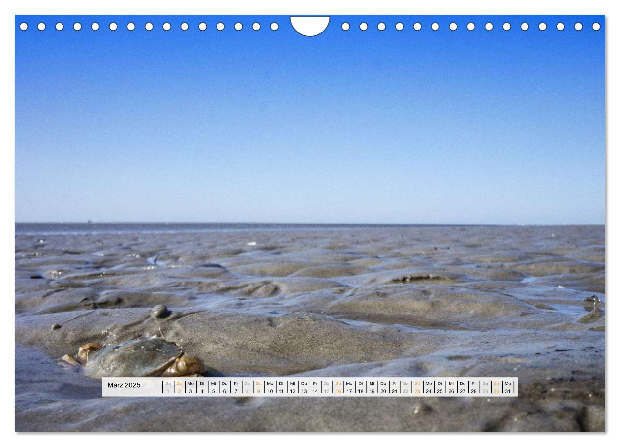 Bild: 9783435793396 | St. Peter-Ording (Wandkalender 2025 DIN A4 quer), CALVENDO...