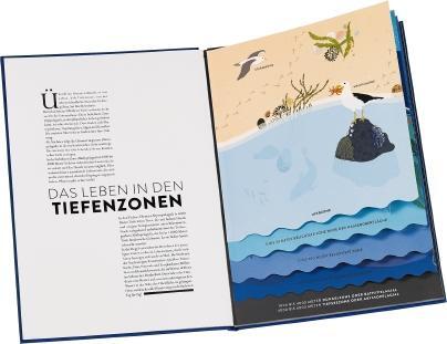 Bild: 9783836960120 | Ozeane | Die wunderbare Welt der Meere | Hélène Druvert | Buch | 40 S.