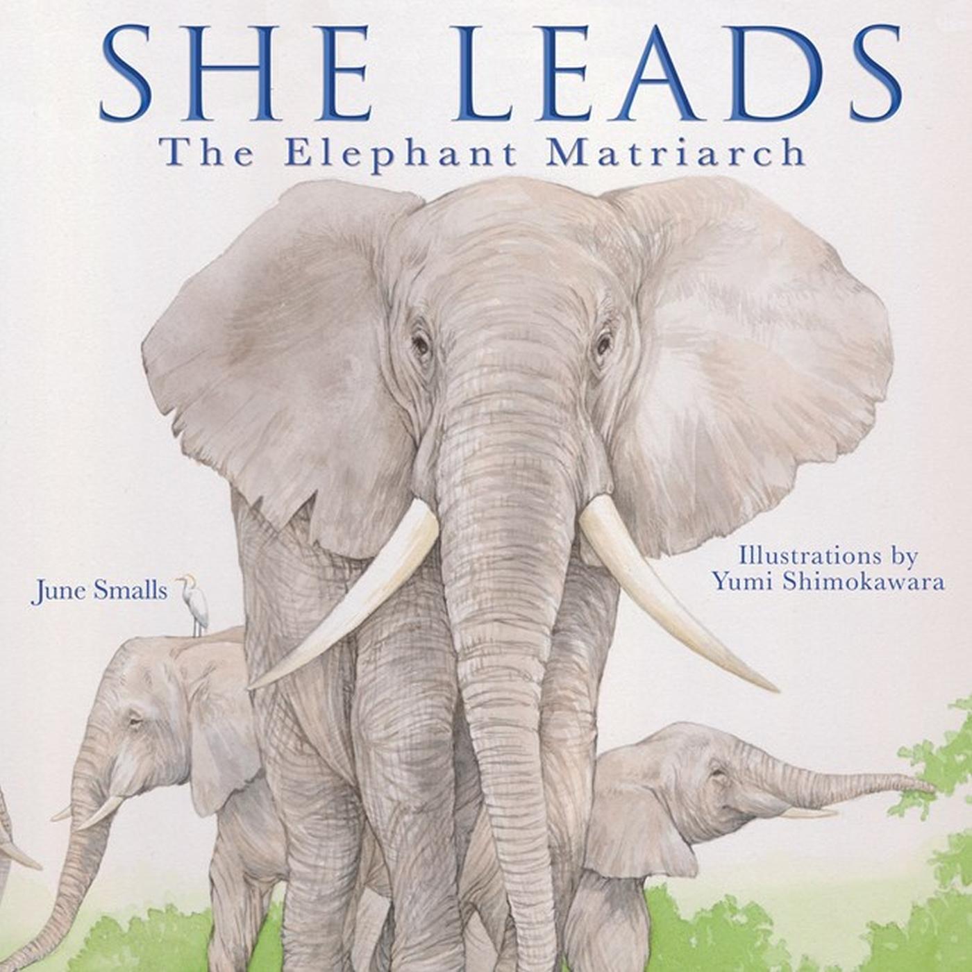 Cover: 9781641702324 | She Leads | The Elephant Matriarch | June Smalls | Buch | Gebunden
