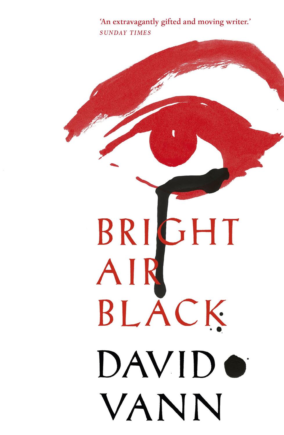 Cover: 9780099592266 | Bright Air Black | David Vann | Taschenbuch | Englisch | 2017