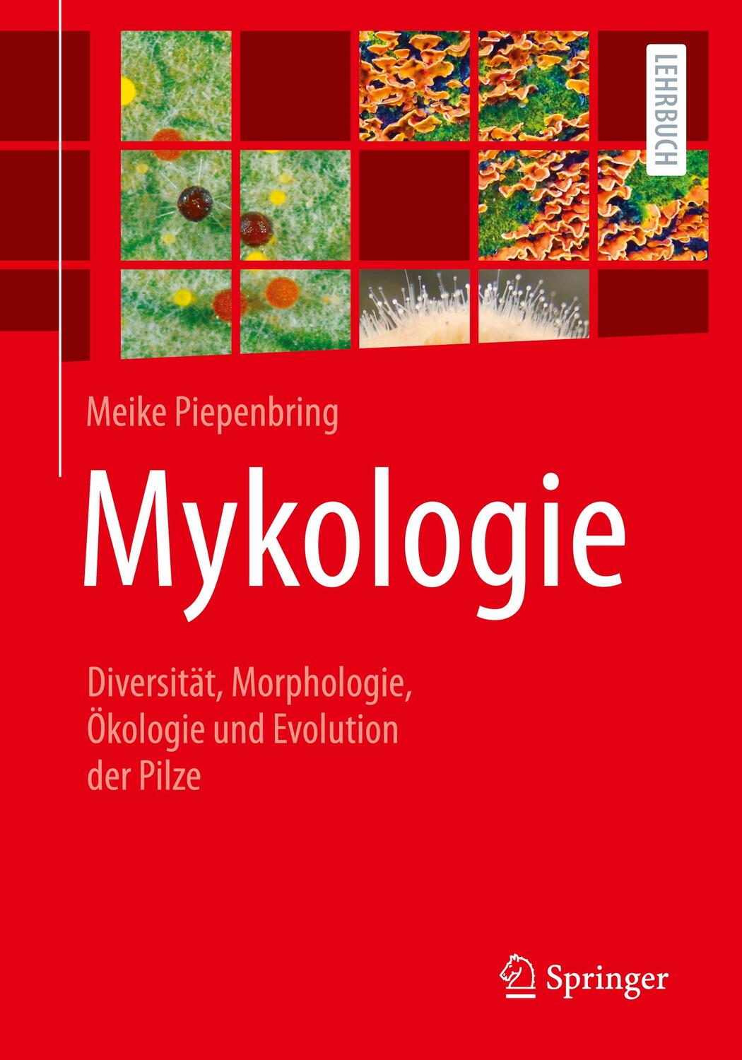 Cover: 9783662650738 | Mykologie | Diversität, Morphologie, Ökologie und Evolution der Pilze