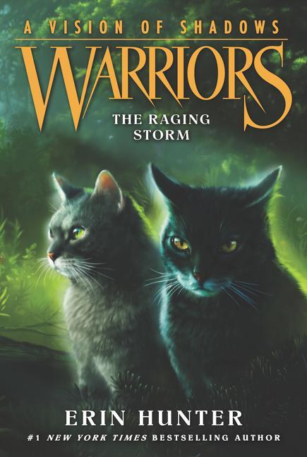 Cover: 9780062386595 | Warriors: A Vision of Shadows: The Raging Storm | Erin Hunter | Buch