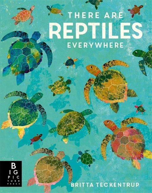 Cover: 9781787419094 | There are Reptiles Everywhere | Camilla De La Bedoyere | Taschenbuch