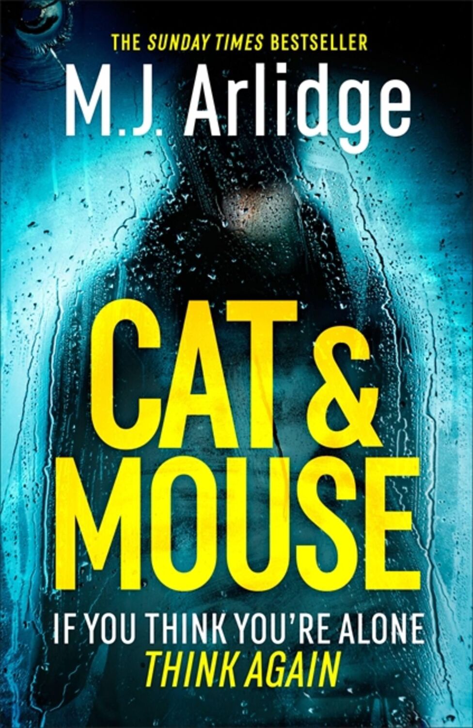 Cover: 9781409188506 | Cat And Mouse | The Addictive and Gripping New Crime Thriller of 2023