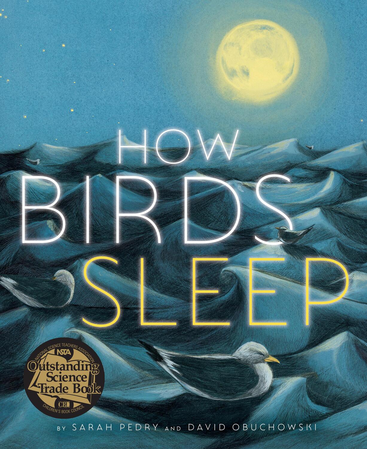 Cover: 9781662650970 | How Birds Sleep | David Obuchowski | Buch | Einband - fest (Hardcover)