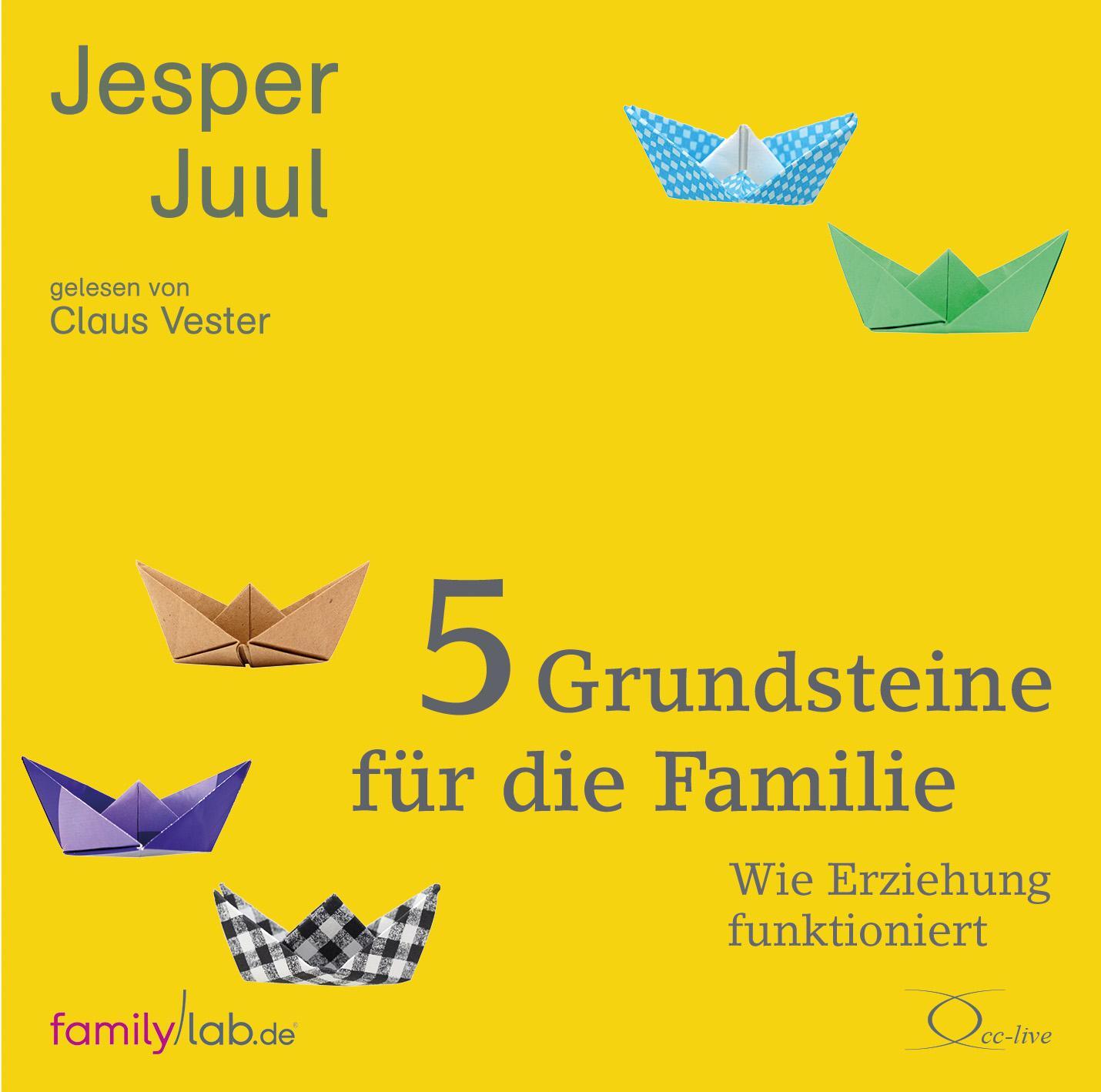 Cover: 9783956163432 | 5 Grundsteine für die Familie | Wie Erziehung funktioniert | Juul | CD