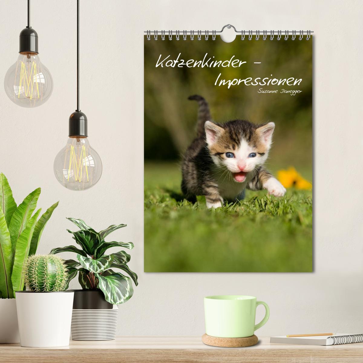 Bild: 9783457086711 | Katzenkinder - Impressionen (Wandkalender 2025 DIN A4 hoch),...