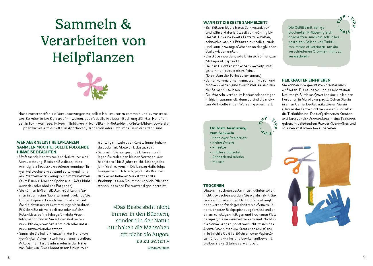 Bild: 9783708808345 | Heilen mit pflanzlichen Antibiotika | Jürgen Schneider | Taschenbuch