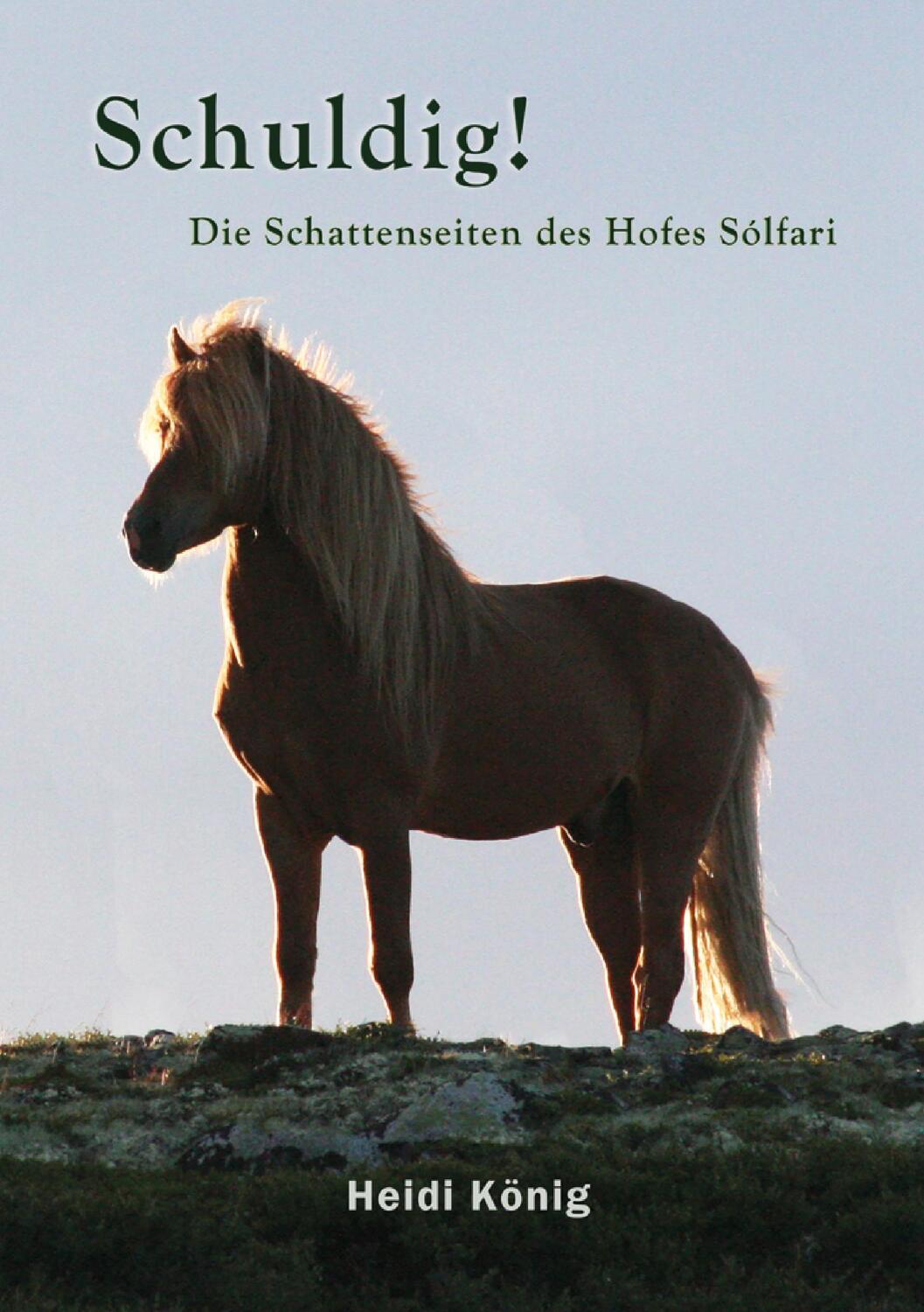 Cover: 9783944464091 | Schuldig! | Die Schattenseiten des Hofes Sólfari | Heidi König | Buch