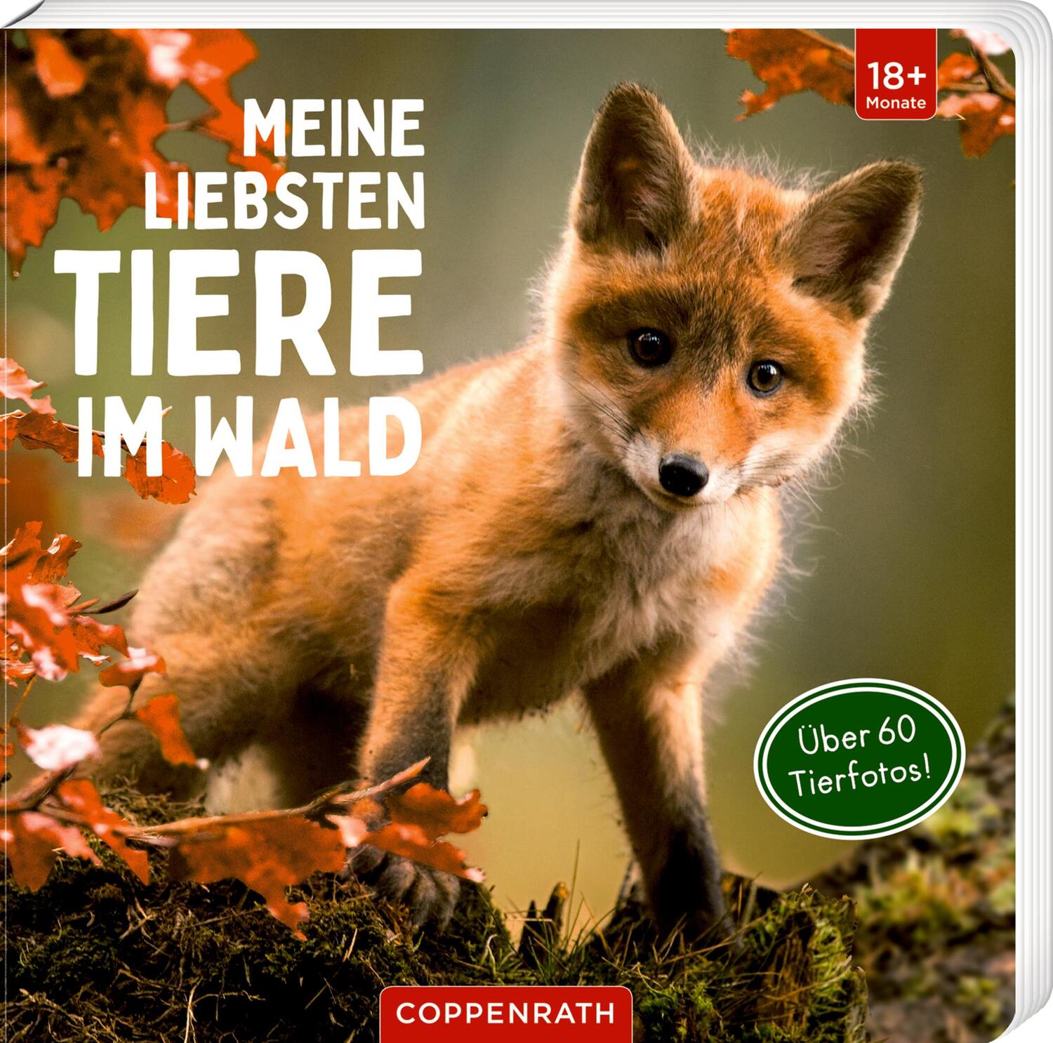 Cover: 9783649645481 | Meine liebsten Tiere im Wald | Buch | Deutsch | 2023 | Coppenrath