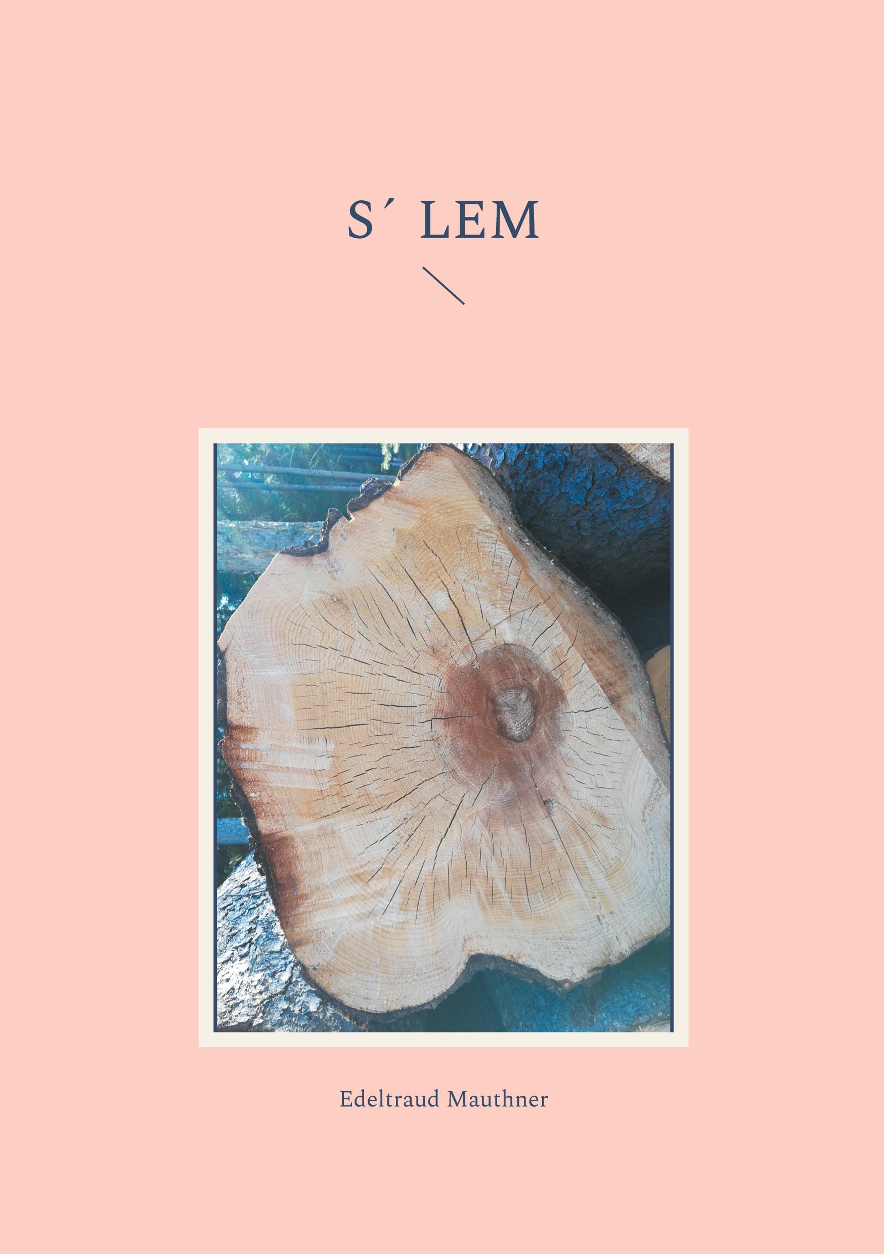 Cover: 9783759785220 | S´ Lem | Edeltraud Mauthner | Taschenbuch | Paperback | 86 S. | 2024