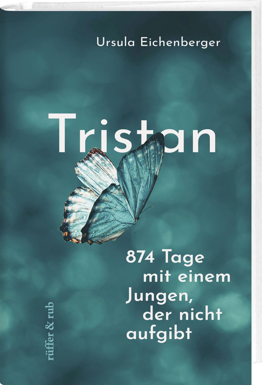 Cover: 9783907351291 | Tristan | 874 Tage mit einem Jungen, der nicht aufgibt | Eichenberger