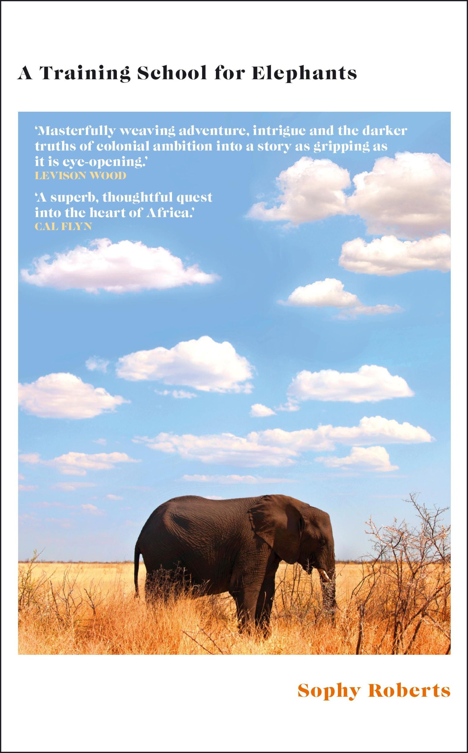 Cover: 9780857528384 | A Training School for Elephants | Sophy Roberts | Taschenbuch | 2025