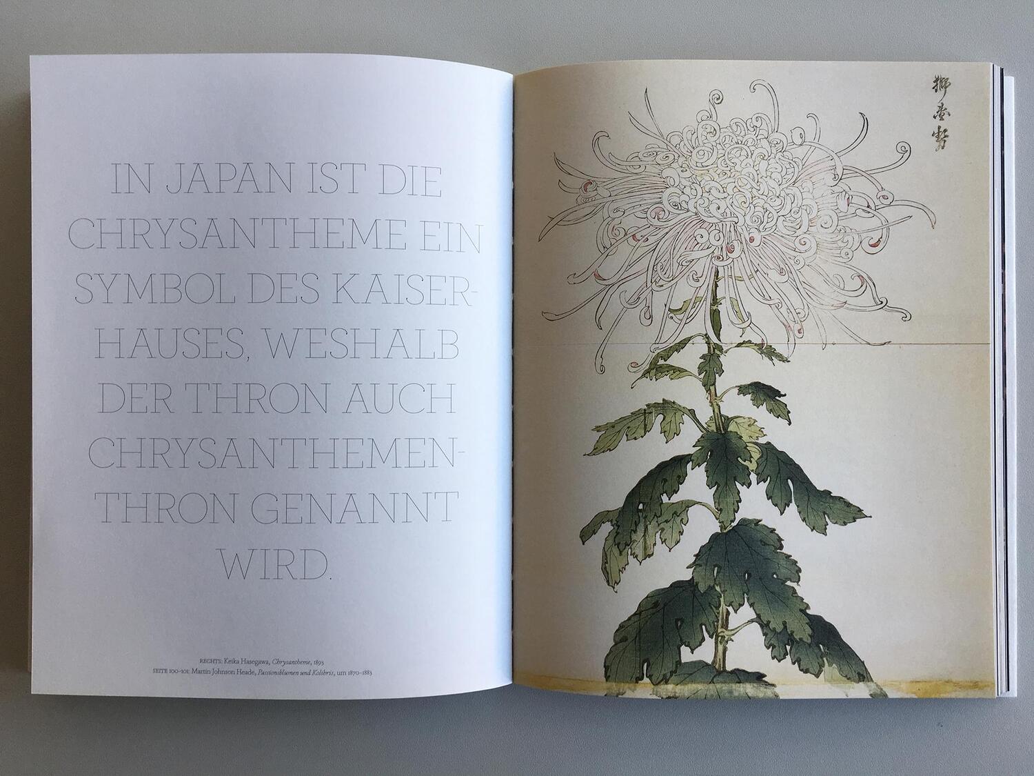 Bild: 9783832199654 | Blumen in der Kunst | Angus Hyland (u. a.) | Taschenbuch | 160 S.